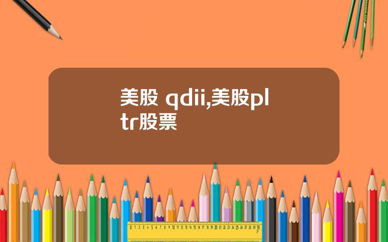 美股 qdii,美股pltr股票